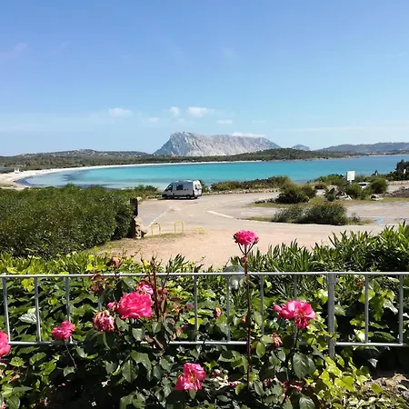 Serena San Teodoro (Sardinia)